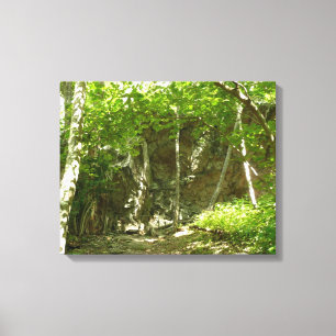 Frazier Discovery Trail vid Shenandoah Fotograferi Canvastryck