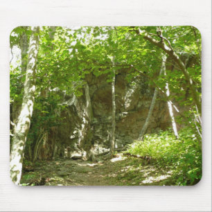 Frazier Discovery Trail vid Shenandoah Fotograferi Musmatta