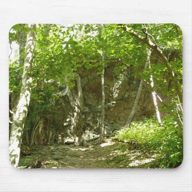 Frazier Discovery Trail vid Shenandoah Fotograferi Musmatta (Framsidan)