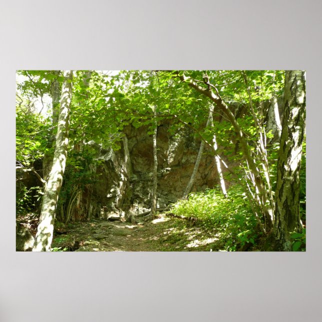 Frazier Discovery Trail vid Shenandoah fotograferi Poster (Framsidan)