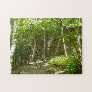 Frazier Discovery Trail vid Shenandoah Fotograferi Pussel