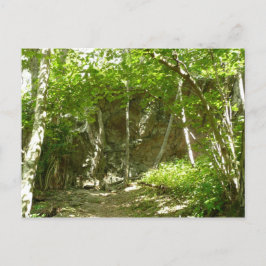 Frazier Discovery Trail vid Shenandoah Fotograferi Vykort