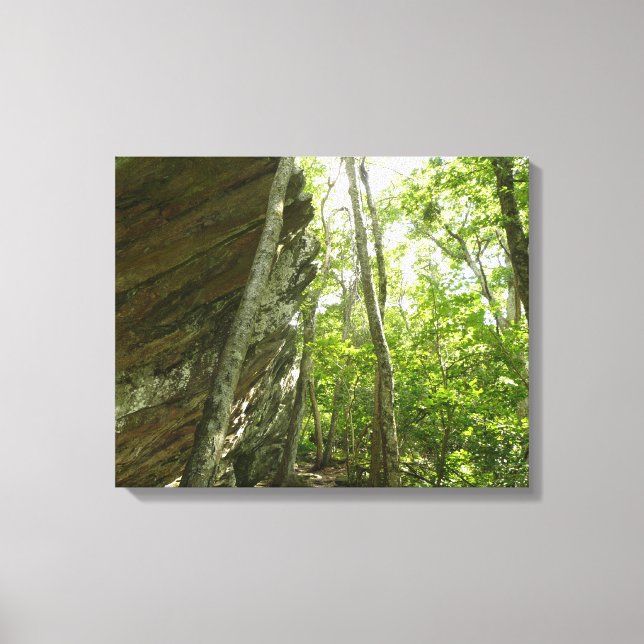 Frazier Rock Wall i Shenandoah National Park Canvastryck (Framsida)
