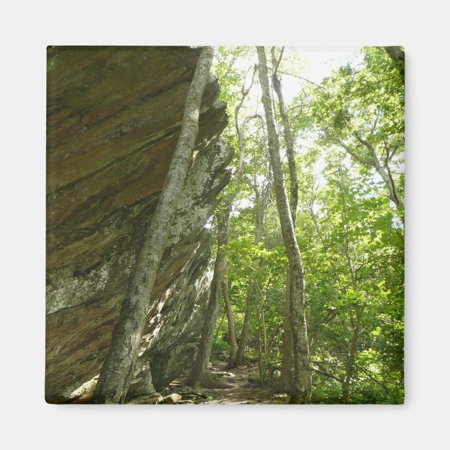 Frazier Rock Wall i Shenandoah National Park Magnet (Framsidan)