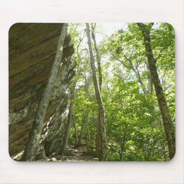 Frazier Rock Wall i Shenandoah National Park Musmatta (Framsidan)
