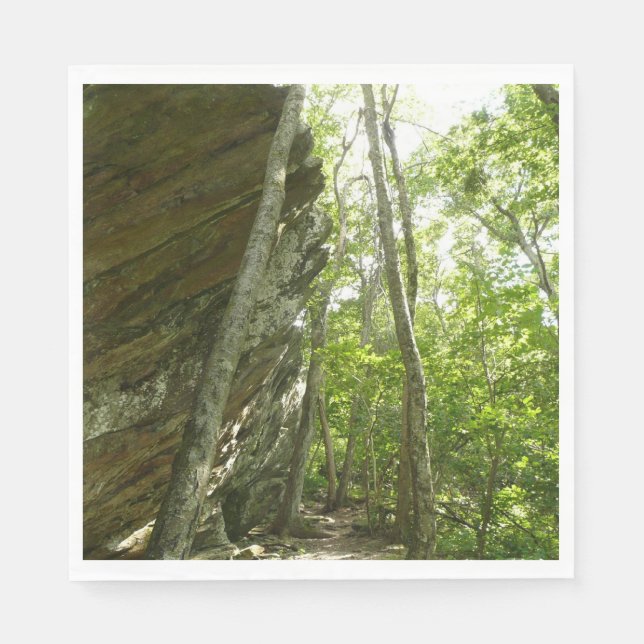Frazier Rockvägg i Shenandoah National Park Pappersservett (Framsidan)