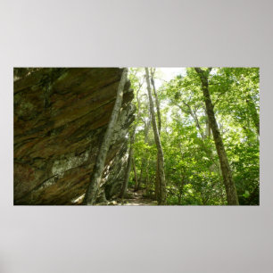 Frazier Rockvägg i Shenandoah National Park Poster