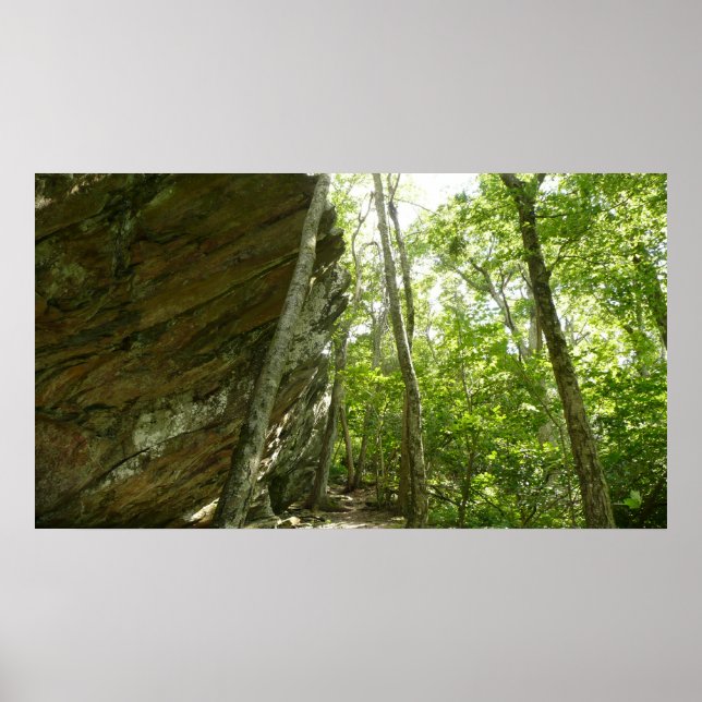 Frazier Rockvägg i Shenandoah National Park Poster (Framsidan)
