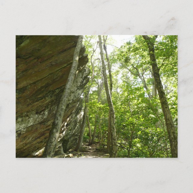 Frazier Rockvägg i Shenandoah National Park Vykort (Framsida)
