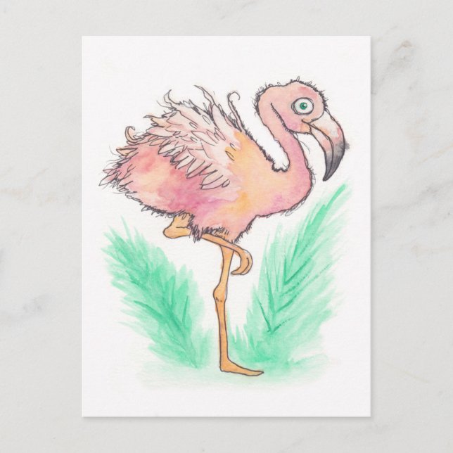 Frazzated Flamingo Postcard Vykort (Framsida)