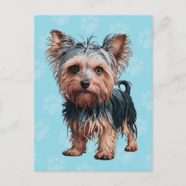 Frazzled Yorkie Hund Postcard Yorkshire Terrier Vykort
