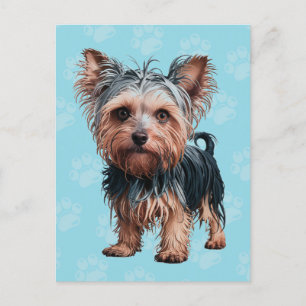 Frazzled Yorkie Hund Postcard Yorkshire Terrier Vykort