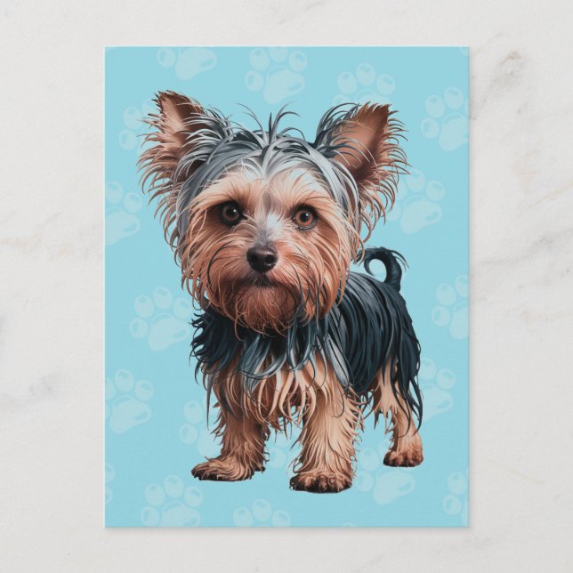 Frazzled Yorkie Hund Postcard Yorkshire Terrier Vykort (Framsida)