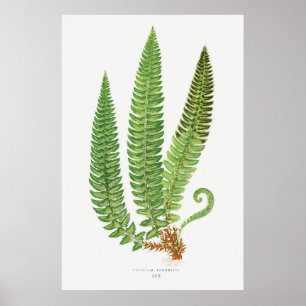 Fre 3 poster