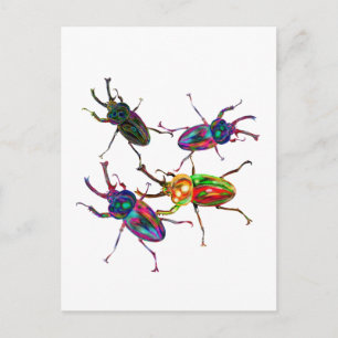 Freaky Coola Rainbow Stag Beetles Vykort