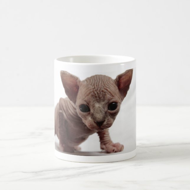 Freaky Cute Furless Sphynx Kitten Kaffemugg (Center)
