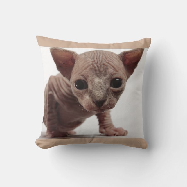 Freaky Cute Furless Sphynx Kitten Kudde (Framsida)