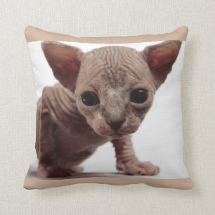 Freaky Cute Furless Sphynx Kitten Kudde
