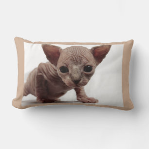 Freaky Cute Furless Sphynx Kitten Lumbarkudde