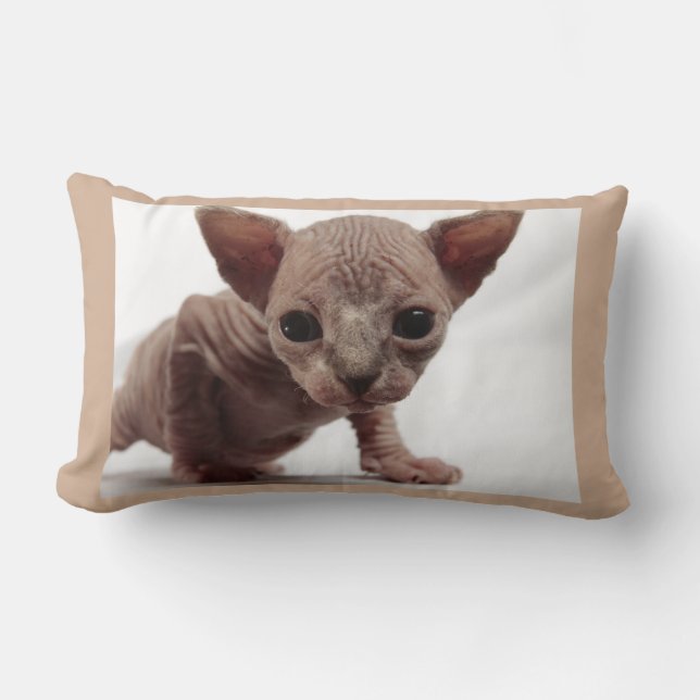 Freaky Cute Furless Sphynx Kitten Lumbarkudde (Framsida)