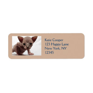 Freaky Cute Furless Sphynx Kitten Returadress Etikett