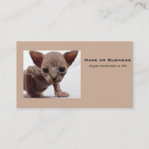 Freaky Cute Furless Sphynx Kitten Visitkort