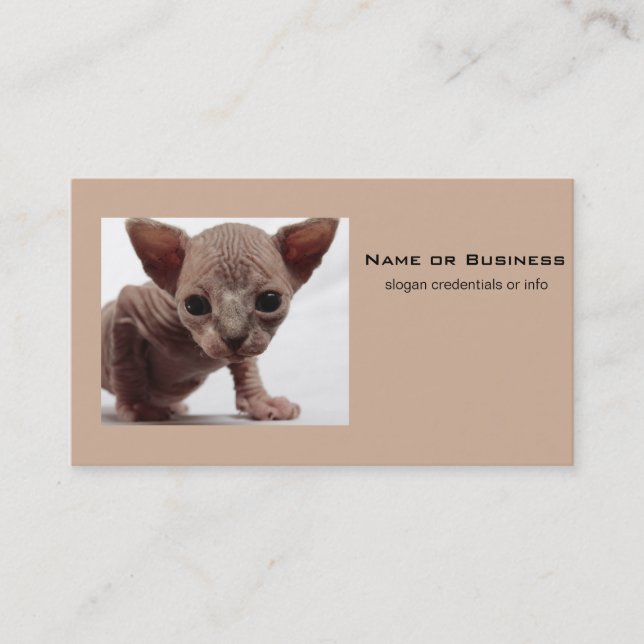 Freaky Cute Furless Sphynx Kitten Visitkort (Framsida)