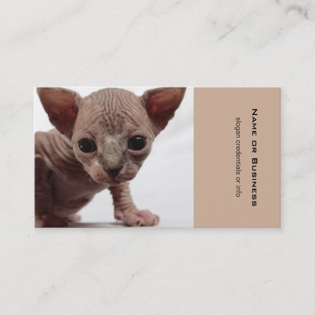 Freaky Cute Furless Sphynx Kitten Visitkort (Framsida)