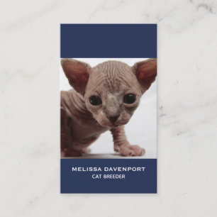 Freaky Cute Furless Sphynx Kitten Visitkort