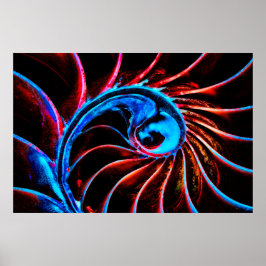 Freaky Nautilus Poster