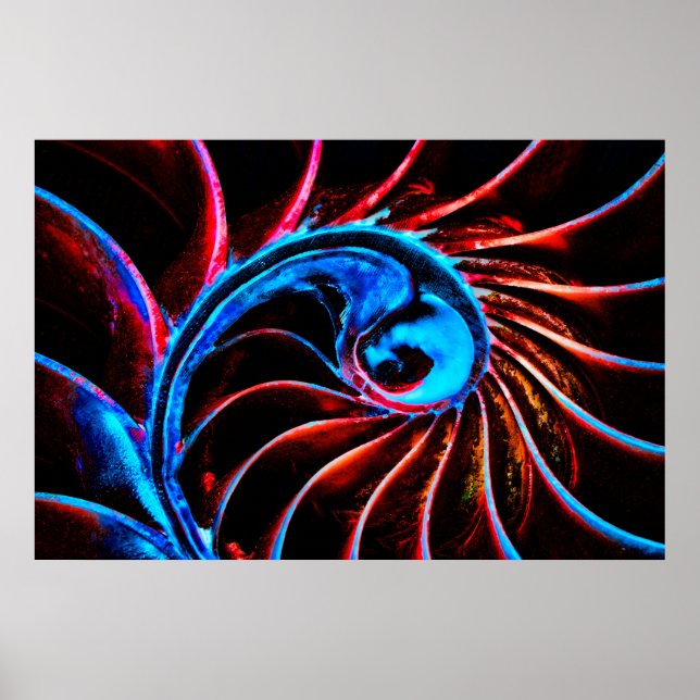 Freaky Nautilus Poster (Framsidan)