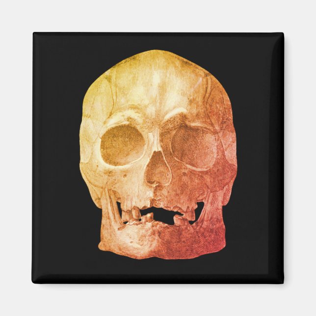 Freaky Skull Magnet (Framsidan)