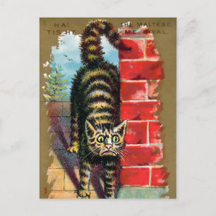 Frears Cat Trade Card #2 (av 6) Vykort