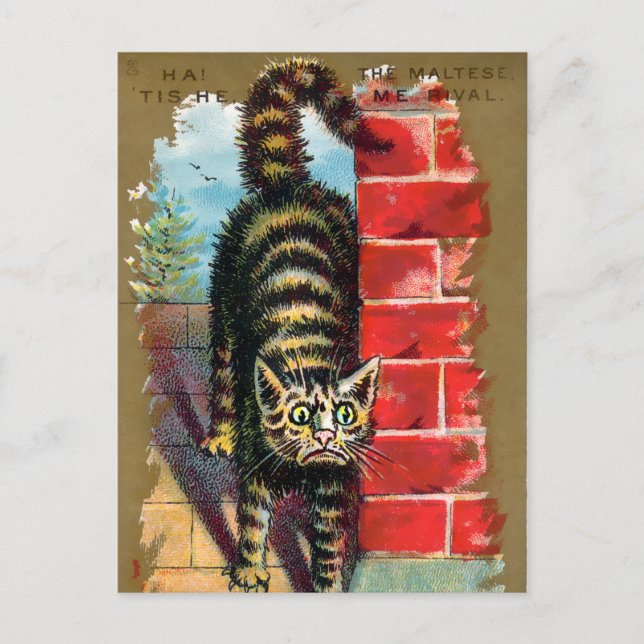 Frears Cat Trade Card #2 (av 6) Vykort (Framsida)