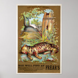 Frears Cat Trade Card #5 (av 6) Poster