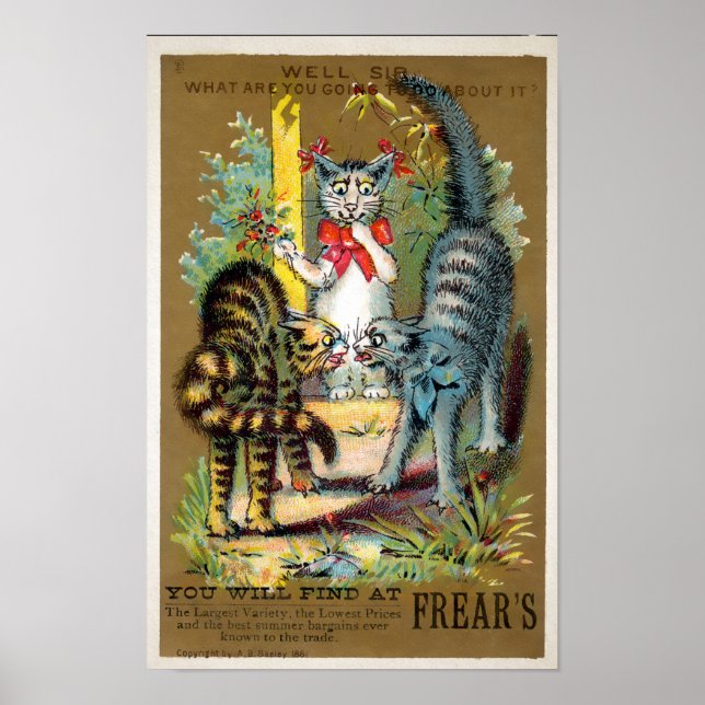 Frears Cat Trade Card nr 3 (av 6) Poster (Framsidan)