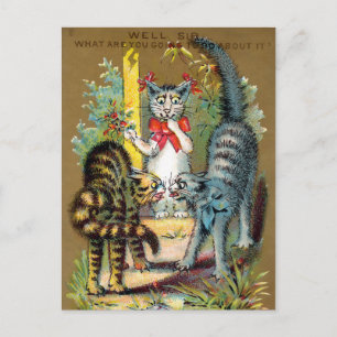 Frears Cat Trade Card nr 3 (av 6) Vykort