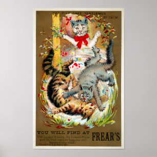 Frears Cat Trade Card nr 4 (av 6) Poster