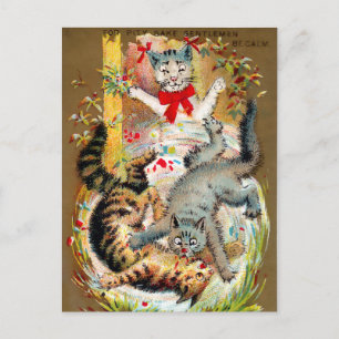 Frears Cat Trade Card nr 4 (av 6) Vykort