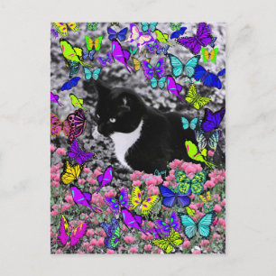 Freckles in Butterflies II - Tux Kattunge Vykort