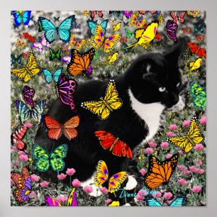 Freckles in Butterflies - Tuxedo Kattunge Poster