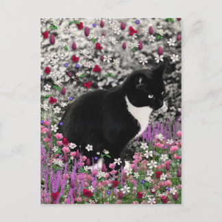 Freckles in Flowers II - Tuxedo Cat Vykort