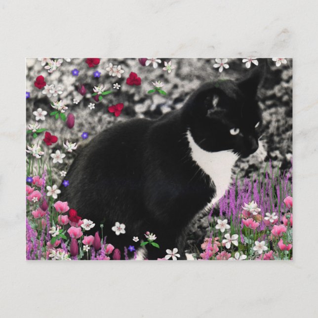Freckles in Flowers II - Tuxedo Cat Vykort (Framsida)