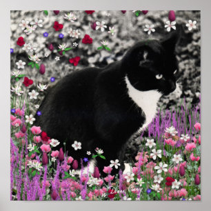 Freckles in Flowers II - Tuxedo Kattunge Poster