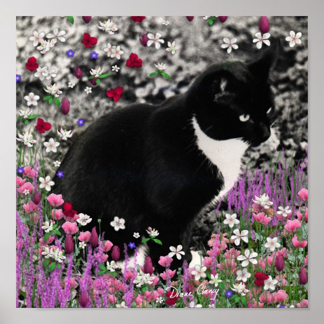 Freckles in Flowers II - Tuxedo Kattunge Poster (Framsidan)