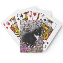 Freckles in Flowers II - Tuxedo Kattunge