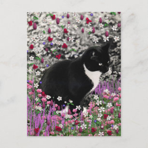 Freckles in Flowers II - Tuxedo Kattunge Vykort