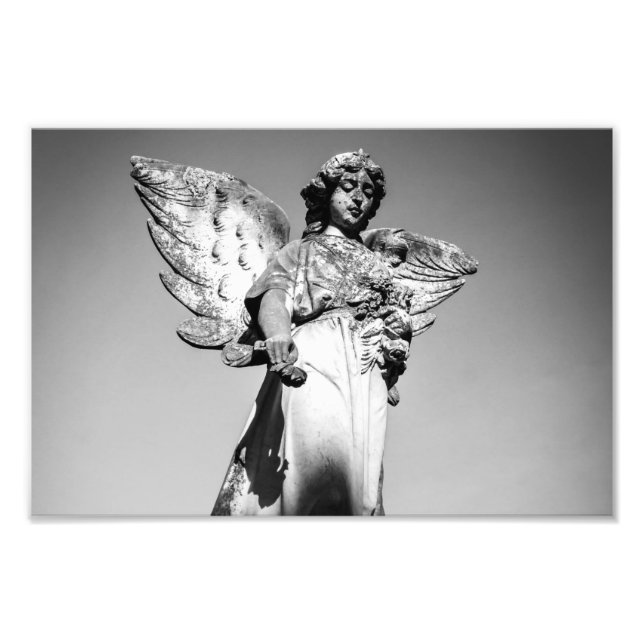 Fred Fototryck (Framsidan)