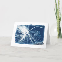 Fred- & glädjevitgräs tomma Cyanotype