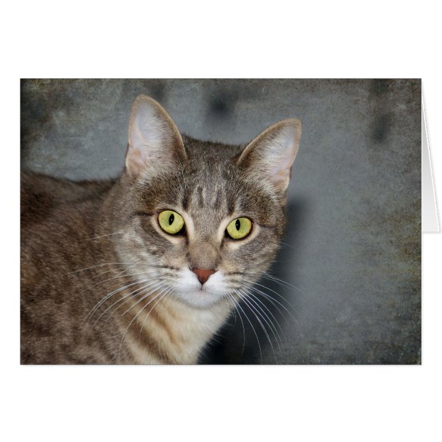 Fred Hälsningskort (Framsidan Horizontal)